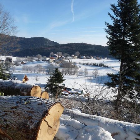 Appartamento Locations Dupertuis Alsace Le Hohwald Esterno foto