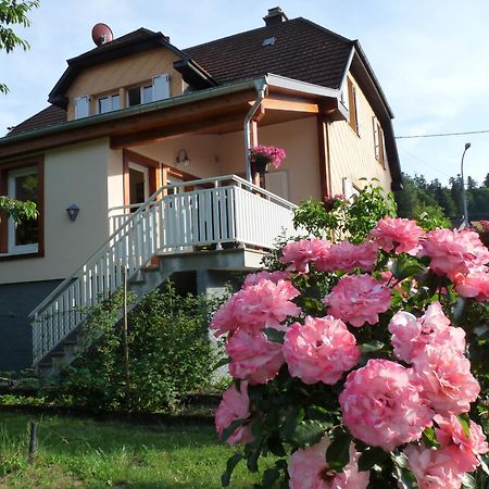 Appartamento Locations Dupertuis Alsace Le Hohwald Esterno foto