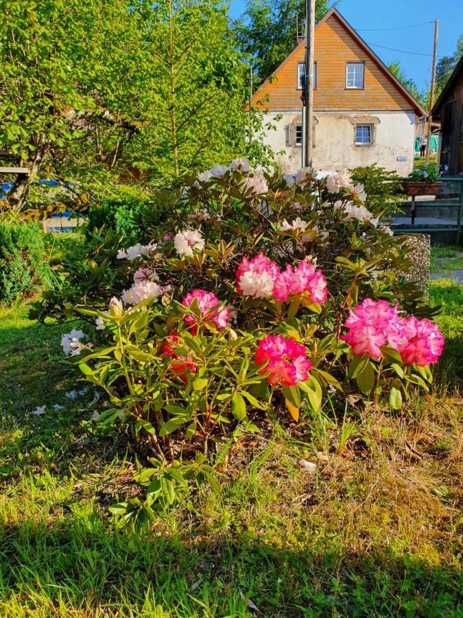 Appartamento Locations Dupertuis Alsace Le Hohwald Esterno foto