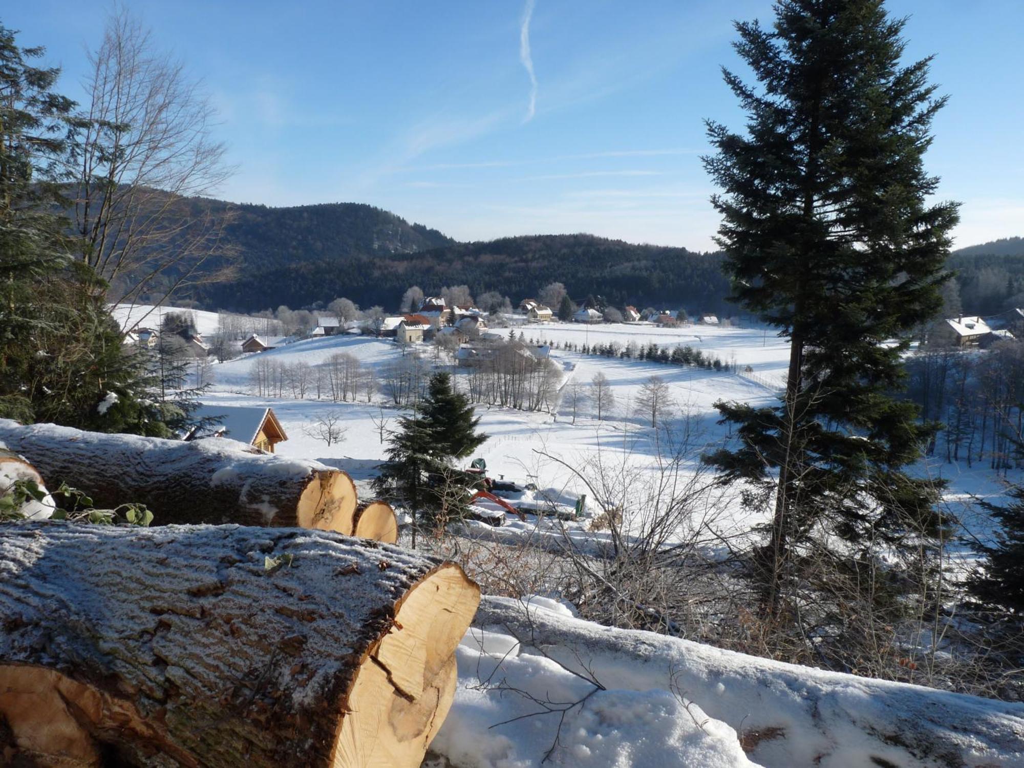Appartamento Locations Dupertuis Alsace Le Hohwald Esterno foto
