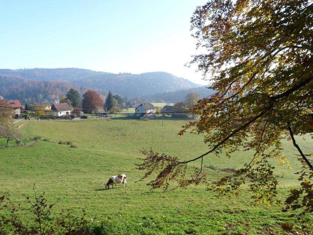 Appartamento Locations Dupertuis Alsace Le Hohwald Camera foto