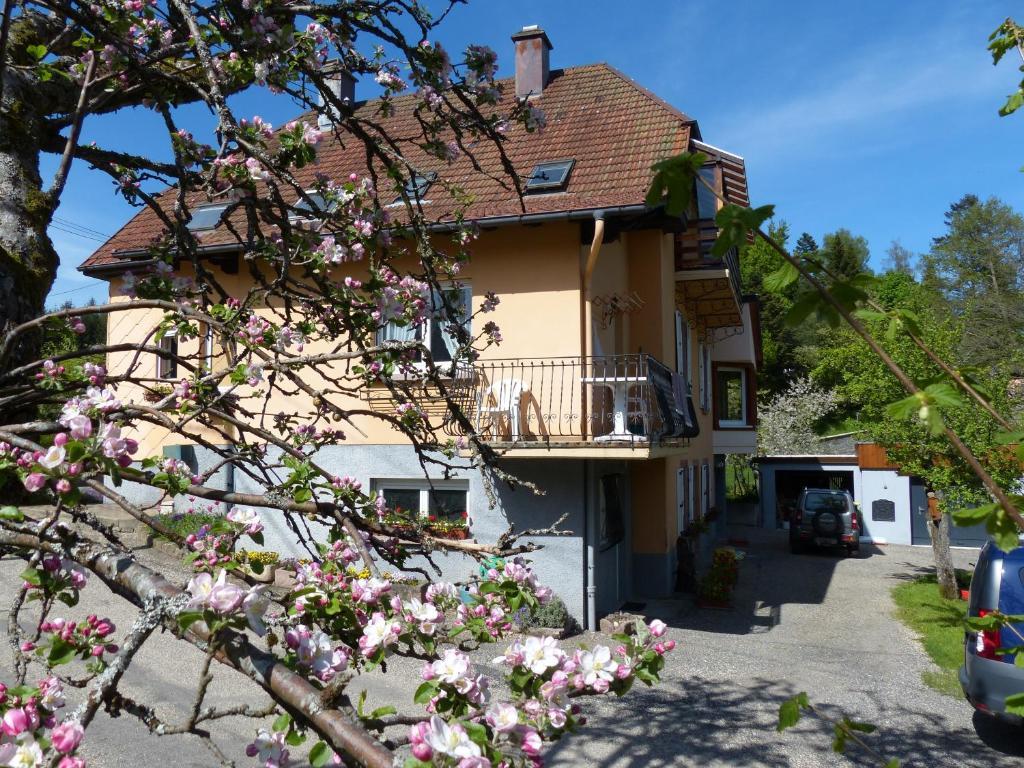 Appartamento Locations Dupertuis Alsace Le Hohwald Esterno foto