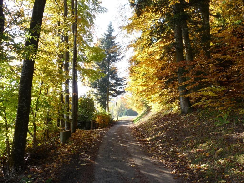 Appartamento Locations Dupertuis Alsace Le Hohwald Esterno foto