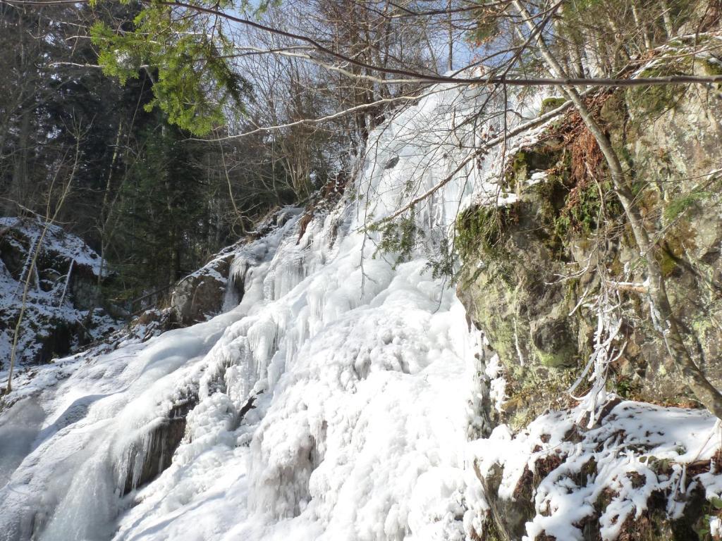 Appartamento Locations Dupertuis Alsace Le Hohwald Esterno foto