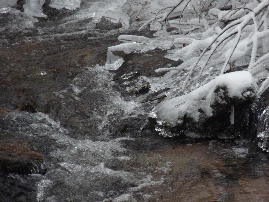Appartamento Locations Dupertuis Alsace Le Hohwald Esterno foto